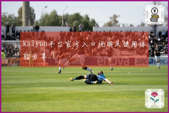 kaiyun平台官方入口说明及使用体验分享_1