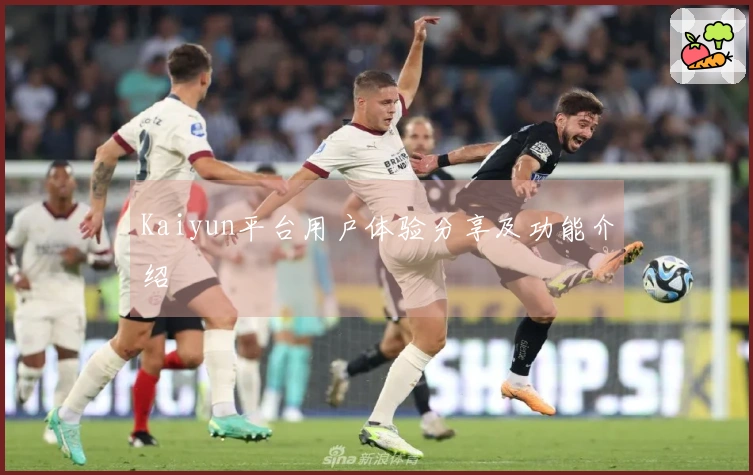 Kaiyun平台用户体验分享及功能介绍