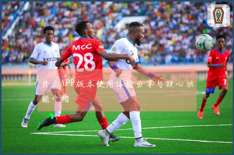 开云APP版本使用体验分享与核心功能介绍