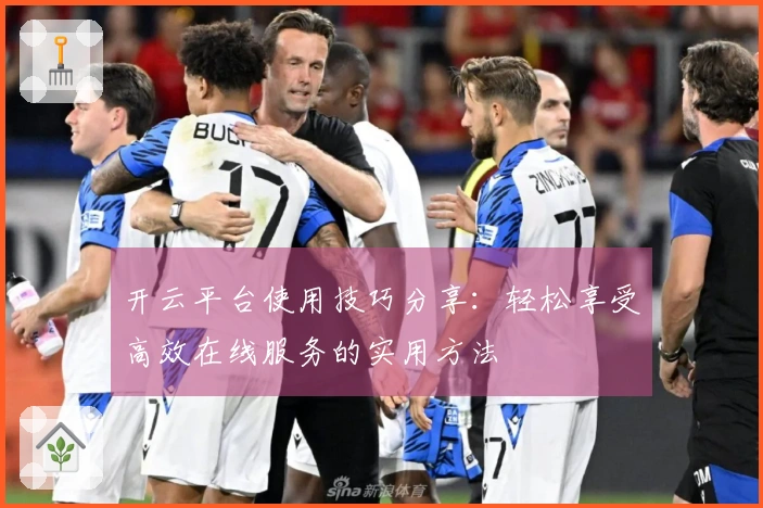 开云平台使用技巧分享：轻松享受高效在线服务的实用方法